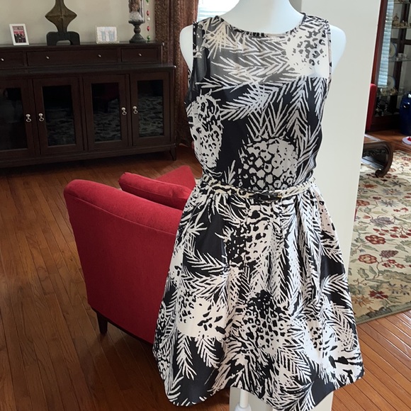 Taylor tan cream & black fit & flare cocktail dress size 2 lined and belted - Picture 1 of 12